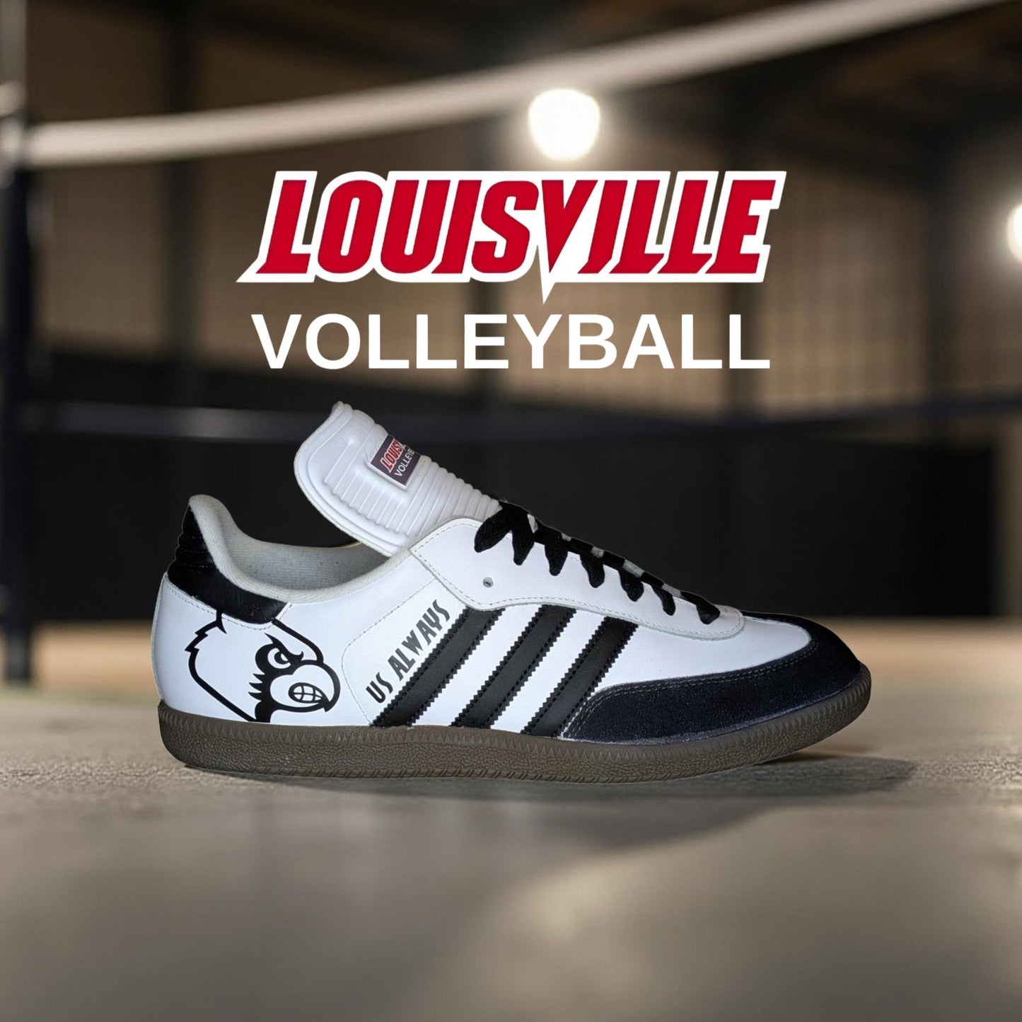 U of L Volleyball ‘Dan Meske 1’s’ Custom Shoes - Adidas Superstar - FREE SHIPPING