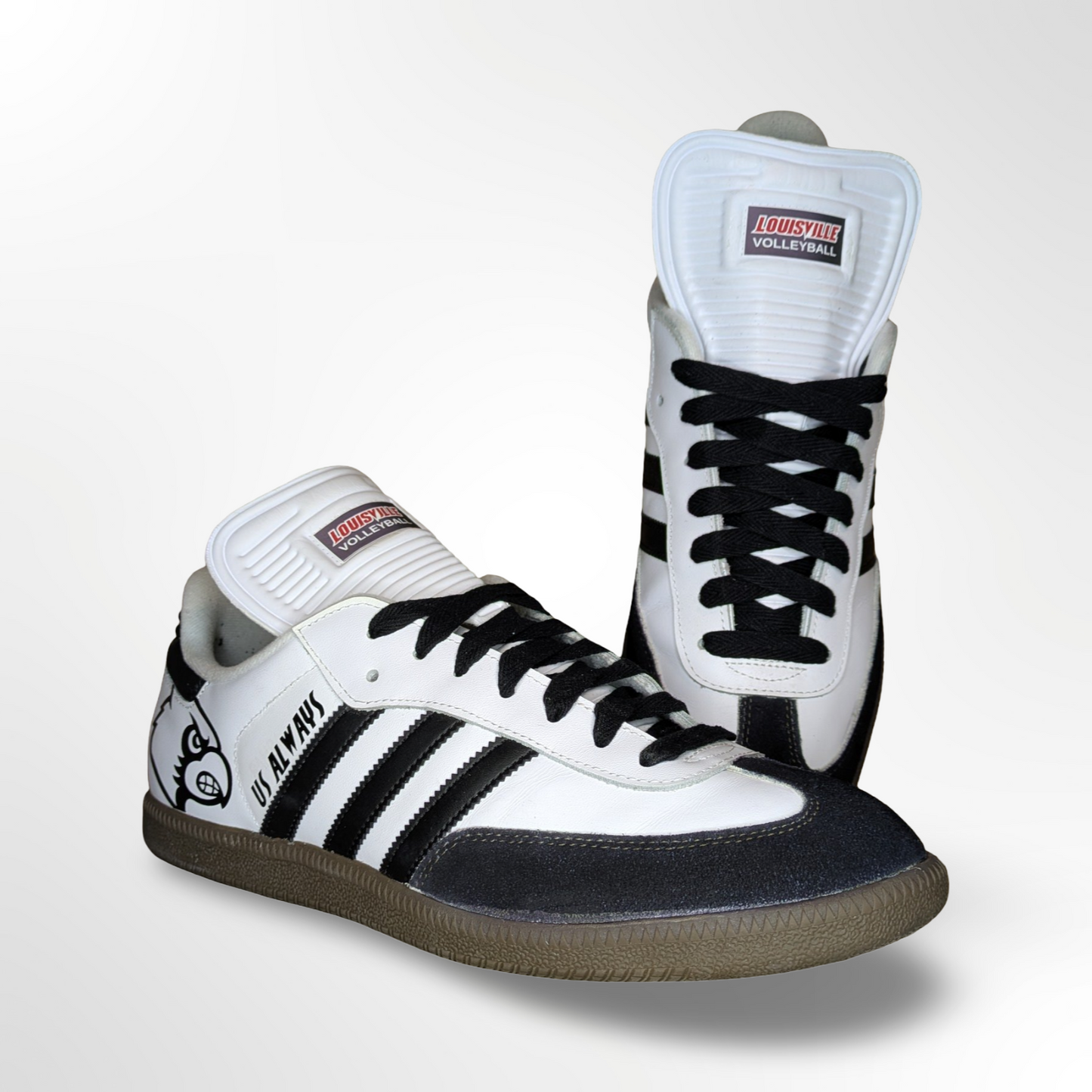 U of L Volleyball ‘Dan Meske 1’s’ Custom Shoes - Adidas Superstar - FREE SHIPPING