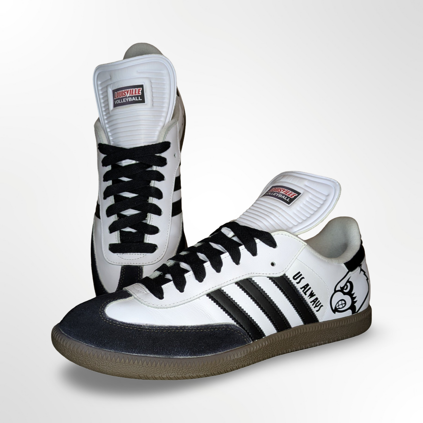 U of L Volleyball ‘Dan Meske 1’s’ Custom Shoes - Adidas Superstar - FREE SHIPPING